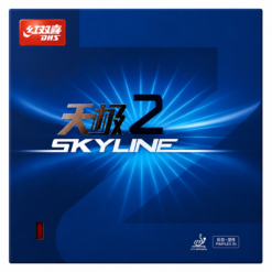 DHS Skyline 2