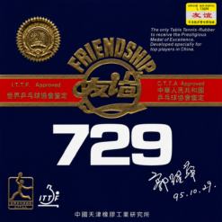 Friendship 729