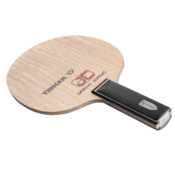 Madeira Tibhar Dynamic JC Darko Jorgić