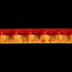 Borracha Stiga DNA Dragão Poder 52.5