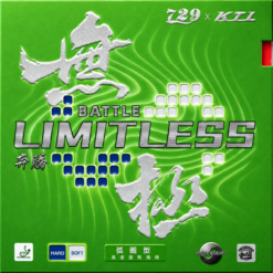 Friendship 729 Battle Limitless 39/37