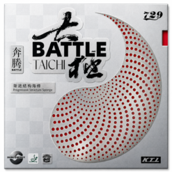 Friendship 729 Battle Taichi 37/39
