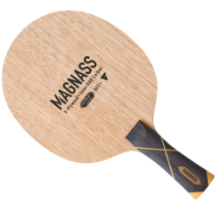 Victas Magnass